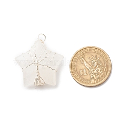 Natural Quartz Crystal Pendants&nbsp;PALLOY-JF01635-02