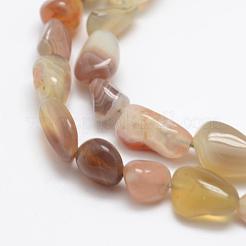 Natural Botswana Agate Beads Strands&nbsp;G-F521-45