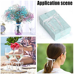 Polyester Lace Ribbon&nbsp;OCOR-GF0006-47B