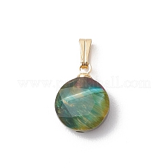 Natural Tiger Eye Faceted Hexagonal Cut Flat Round Charms&nbsp;PALLOY-JF04846