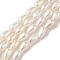 Electroplate Shell Pearl Beads Strands, Teardrop, Floral White, 6x4mm, Hole: 0.1mm, about 60~61pcs/strand, 16.14''~16.34''(40~41.5cm)