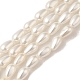 Electroplate Shell Pearl Beads Strands&nbsp;BSHE-G010-4x6mm-01-1