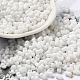 Baking Paint Glass Seed Beads&nbsp;SEED-K009-01A-25-1