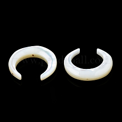 Natural White Shell Beads&nbsp;SSHEL-N034-122A-03