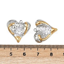 304 Stainless Steel Pendants&nbsp;STAS-L290-62GP
