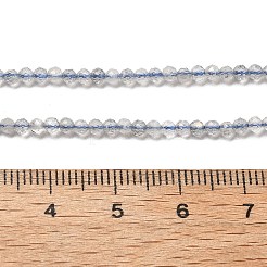 Natural Labradorite Beads Strands&nbsp;G-RM241221-A10