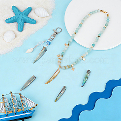 Natural Paua Shell Pendants&nbsp;FIND-WH0366-454