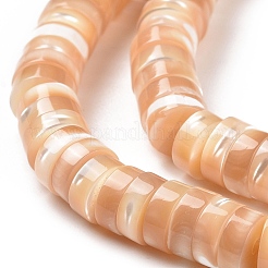 Natural Trochid Shell/Trochus Shell Beads Strands&nbsp;SSHEL-L016-13F