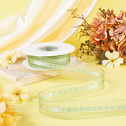 Polyester Lace Ribbon&nbsp;OCOR-TADJ0001-07B