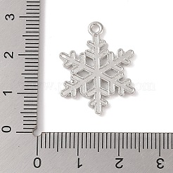 Tibetan Style Alloy Pendants&nbsp;FIND-C060-051P
