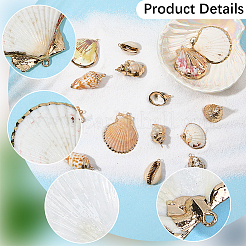 20Pcs 10 Styles Electroplated Natural Mixed Shell Pendants&nbsp;SHEL-SC0002-08