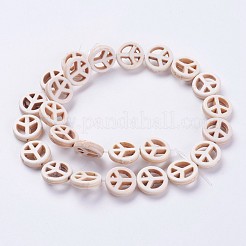 Synthetic Turquoise Beads Strands&nbsp;G-J394-01