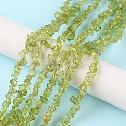 天然石ペリドットビーズ連売り  チップ  1.5~4.5x3~13x2.5~8mm  穴：0.6mm  30.94~31.97インチ（78.6~81.2cm）&nbsp;G-G0003-B27