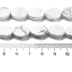 Natural Howlite Beads Strands&nbsp;G-P559-B05-01