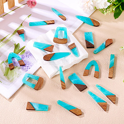 20Pcs 10 Styles Resin & Wood Pendants&nbsp;WOOD-TA0002-67D