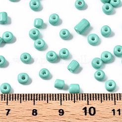 6/0 Glass Seed Beads&nbsp;SEED-S058-A-F439