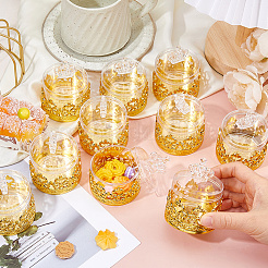 Transparent Plastic Candy Storage Boxes&nbsp;CON-WH0086-224