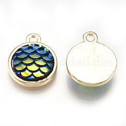 Alloy Resin Charms&nbsp;PALLOY-T056-24A
