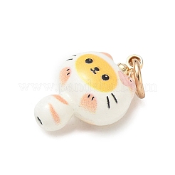 Alloy Enamel Pendants&nbsp;AL-CBA1A1A-01