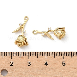 Brass Micro Pave Cubic Zirconia Pendants&nbsp;KK-L260-15G