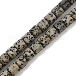 Natural Dalmatian Jasper Beads Strands&nbsp;G-G275-D18-10x10mm