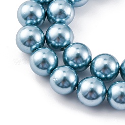 Shell Pearl Beads Strands&nbsp;BSHE-K015-8mm-02