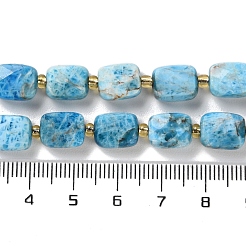 Natural Apatite Beads Strands&nbsp;G-H061-A04-01