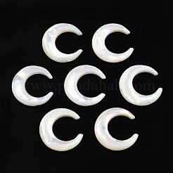 ナチュラル ホワイト シェル コネクタ チャーム  三日月  20x19x4mm  穴：1mm&nbsp;SSHEL-N034-159