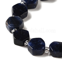 Natural Sodalite Beads Strands&nbsp;G-P534-A11-02