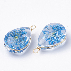 ガラスチャーム  中にドライフラワーあり＆真鍮パーツ  ティアドロップ  ゴールドカラー  ミックスカラー  22~24x13x8mm  穴：2mm&nbsp;X-GLAA-Q070-005