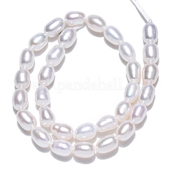 Natural Cultured Freshwater Pearl Beads Strands&nbsp;PEAR-N012-04K
