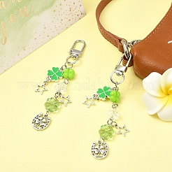 2Pcs Alloy & Acrylic Pendant Decorations&nbsp;HJEW-YW00330