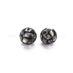 樹脂ビーズ  天然のアワビの殻/パウア貝  ラウンド  カラフル  8.5mm  穴：1mm&nbsp;SSHEL-T014-38-8mm-07