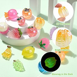 15個 15スタイル 光るフルーツ樹脂製装飾  人形作り用  家のデスクトップの装飾  混合図形  20~34x19.5~36.5mm  1個/スタイル&nbsp;CRES-CJ0001-80