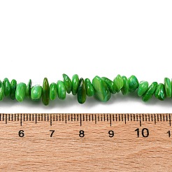 天然淡水シェルビーズ連売り  チップ  染め  グリーン  6~16x4~8x1~7mm  穴：1mm  約97~157個/連  15.75インチ（40cm）&nbsp;BSHE-I016-01D