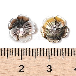 天然の黒リップシェル彫刻ビーズ  花  10x2.5mm  穴：1mm&nbsp;SSHEL-I026-12A-04