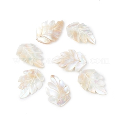 Natural Sea Shell Pendants&nbsp;SSHEL-K001-002