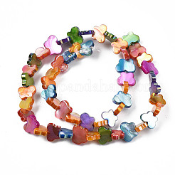Dyed Natural Freshwater Shell Beads Strands&nbsp;SHEL-S276-167