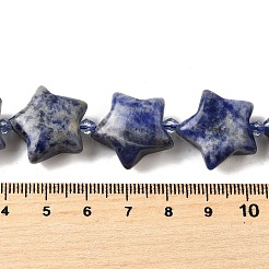 天然石ソーダライトビーズ連売り  シードビーズで  スター  20x21x10mm  穴：1.2mm  約19個/連  15.59''~16.02''（39.6~40.7センチメートル）&nbsp;G-U023-C01-04