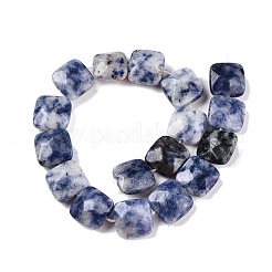 Natural Blue Spot Jasper Beads Strands&nbsp;G-T138-172