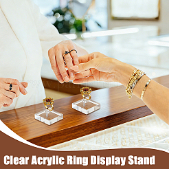 Acrylic Single Ring Display Stands&nbsp;RDIS-WH0007-13A