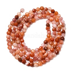 Natural Red Agate Beads Strands&nbsp;G-G343-B02-3mm