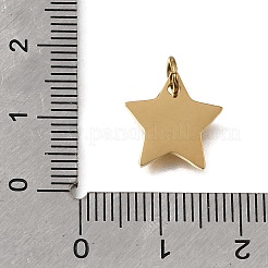 304 Stainless Steel Charms&nbsp;STAS-E532-07G