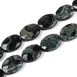 Natural Kambaba Jasper Beads Strands&nbsp;G-S354-13x18-A03