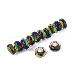 Handmade Lampwork & Brass Core European Beads&nbsp;LAMP-N044-08S-01