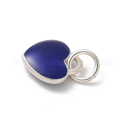 S925 Sterling Silver Pendant&nbsp;LS-STER-H115-05E-S03