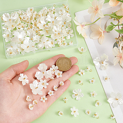 アクリルパーツ  真鍮のループを有します  花  ホワイト  9~20mm  穴: 2mm 140個/セット&nbsp;PALLOY-PH01692