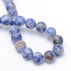 Round Dyed Natural Blue Spot Jasper Bead Strands&nbsp;G-R345-6mm-14