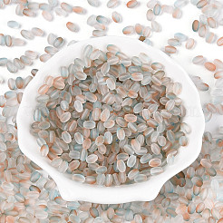 すりガラスのシードビーズ  ツートン  丸い穴  オーバル  パパイヤホイップ  6.5x4~4.5mm  穴：1~1.2mm  約2586個/ポンド&nbsp;SEED-N008-05H