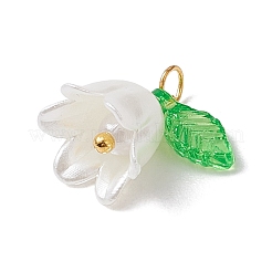 20Pcs Opaque Acrylic Pendants&nbsp;PALLOY-JF02870